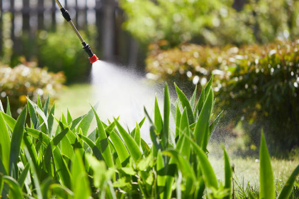 24/7 Emergency Cockroach Control experts in Neodesha, KS